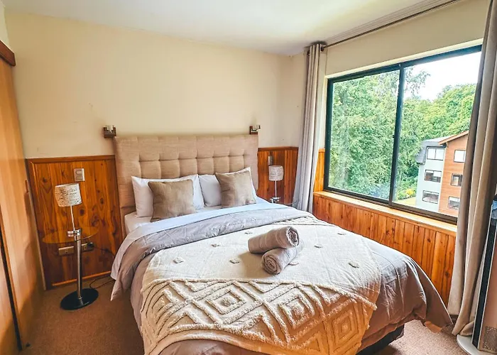 Comodo Apartamento Entero En Pucon