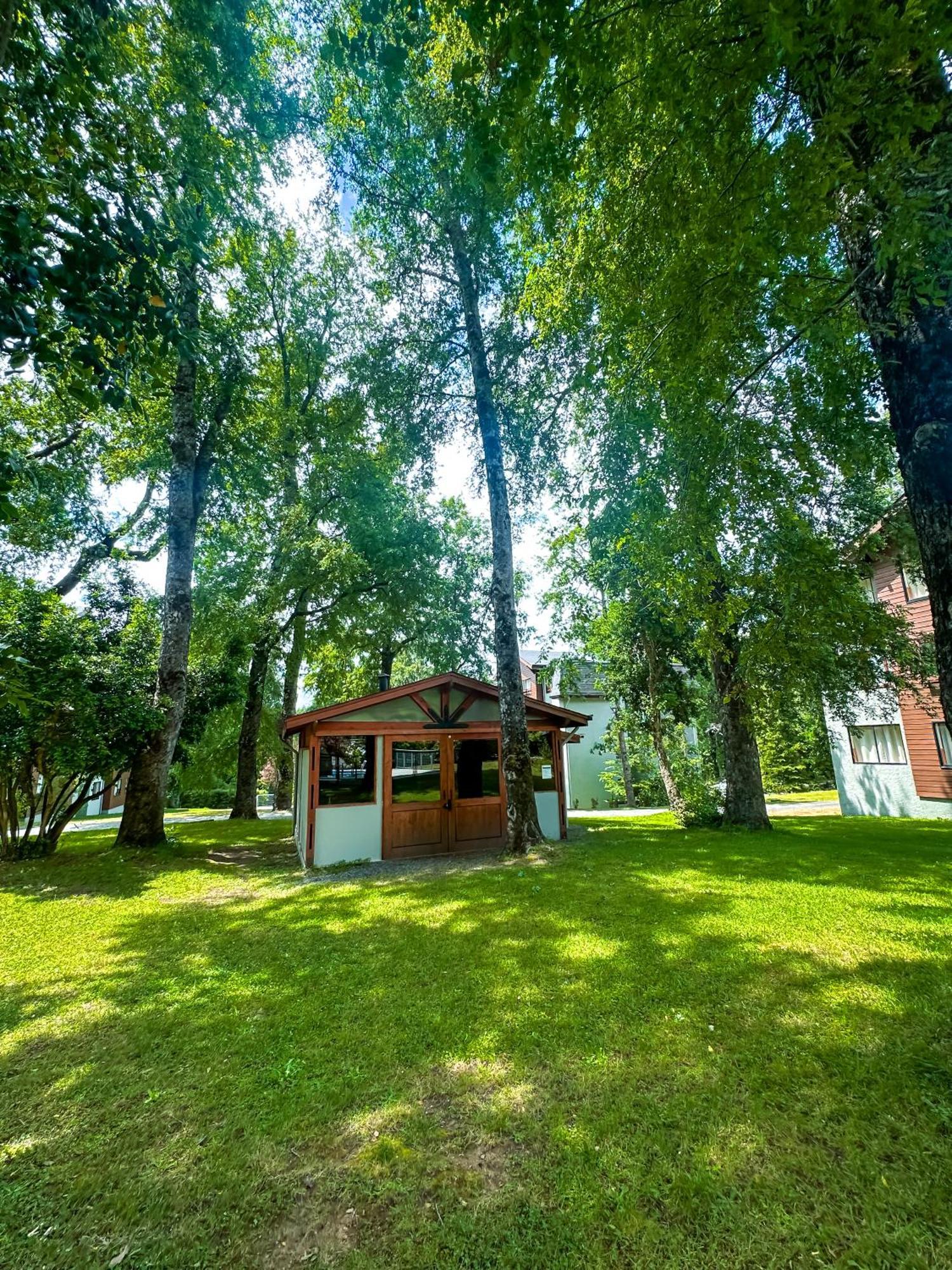 Apartamento Comodo Entero En Pucón